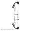 2021 Hoyt Altus 38 Compound Target Bow DCX Cam (Clearance X1033089) -Archery Pro Shop 2561104 white 56363f9e 171d 445d 98e2 92e23dbe0efa