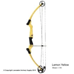 Genesis Archery Original Genesis Bow (Colors) 17 Genesis Archery Original Genesis Bow (Colors) -Archery Pro Shop 3110064 lemonyellow
