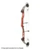 2021 PSE Lazer Target Compound Bow