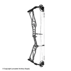 2020 Elite REZULT Target Compound Bow -Archery Pro Shop 6530124 gray
