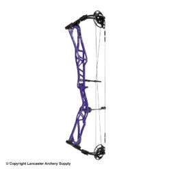 2020 Elite REZULT Target Compound Bow -Archery Pro Shop 6530124 purple